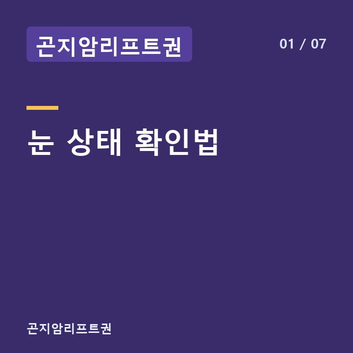 곤지암리프트권 눈 상태 확인법 —